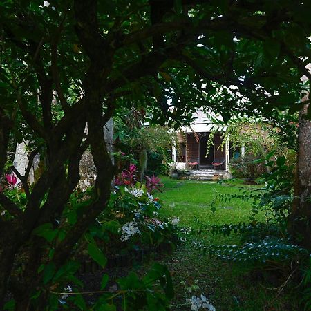 Le Medinilla Bras-Panon Exterior foto