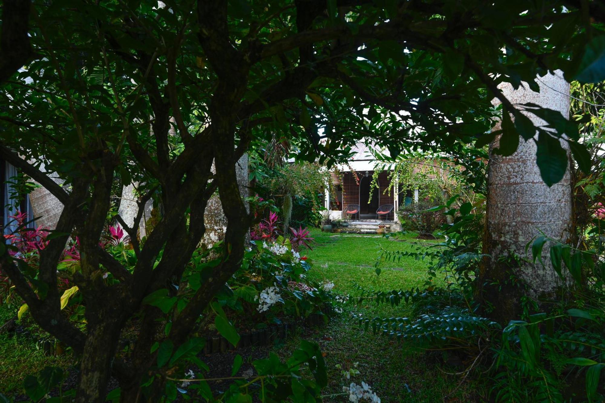 Le Medinilla Bras-Panon Exterior foto